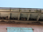 SX27710 Nest of swifts.jpg